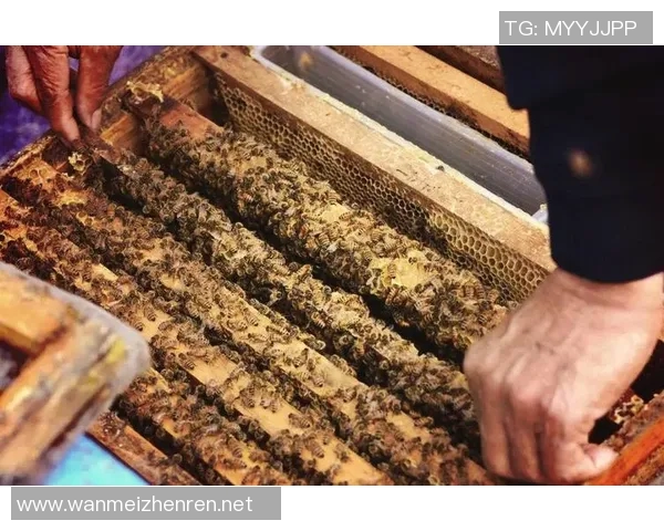 从零开始打造高效网球团队协作的全面指南与实用技巧 从零开始打造高效网球团队协作的全面指南与实用技巧