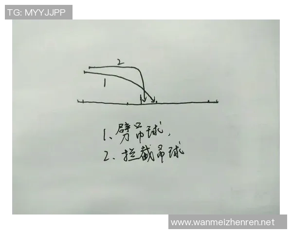从零基础到高手之路羽毛球全面提升技巧与训练方法指南 从零基础到高手之路羽毛球全面提升技巧与训练方法指南