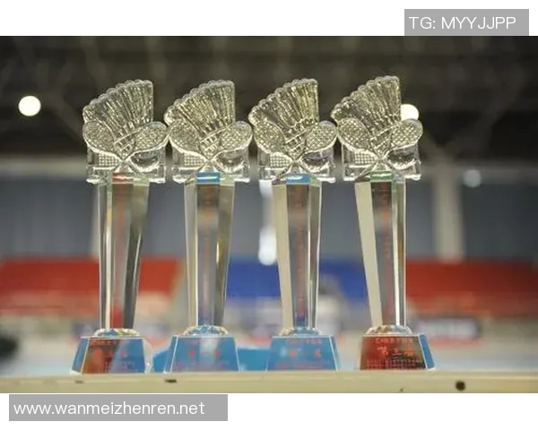 武汉羽毛球队联赛表现分析团队配合与战术执行的关键因素探讨 武汉羽毛球队联赛表现分析团队配合与战术执行的关键因素探讨